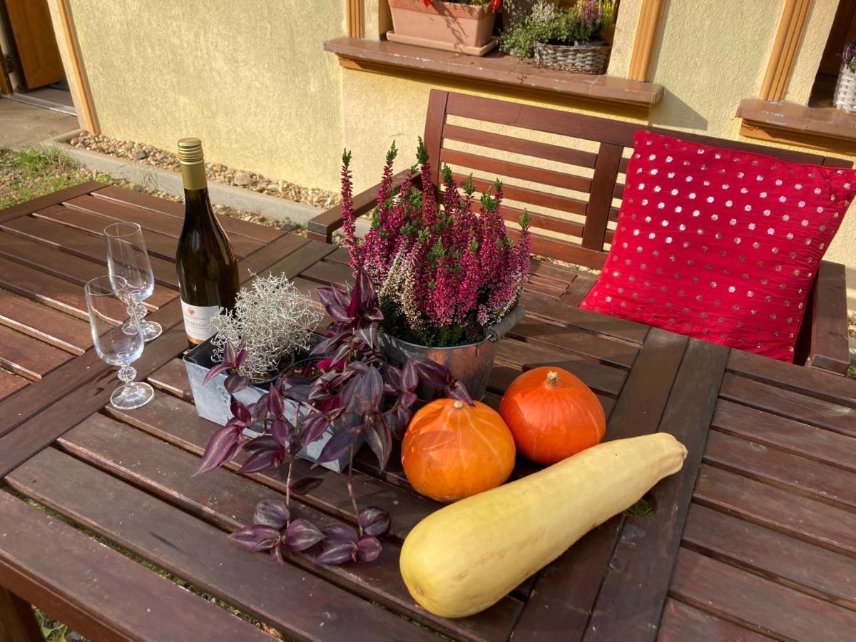 Appartamento Na Bukovku Techlovice Esterno foto